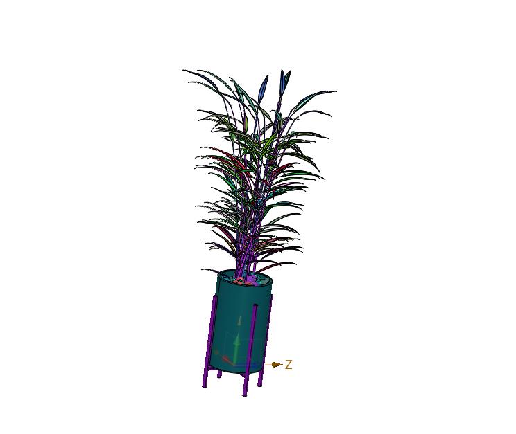 室内客厅大盆夏威夷竹子竹苗植物盆栽