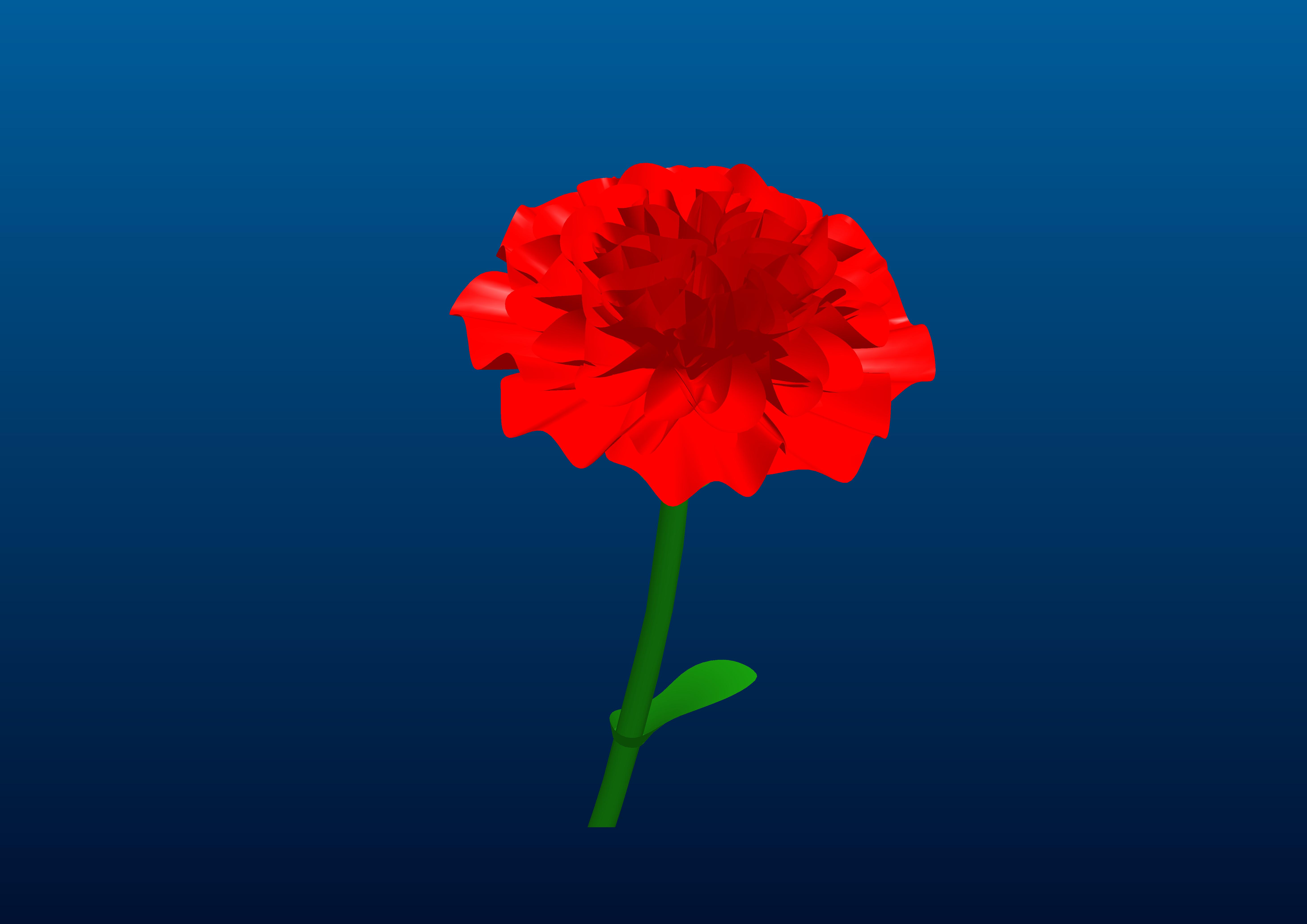 玫瑰花