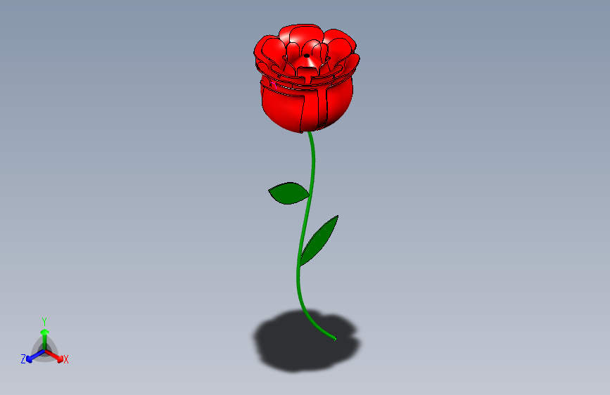 玫瑰花