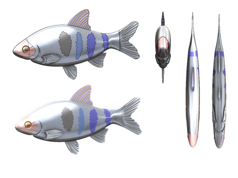 A FISH鱼简易模型