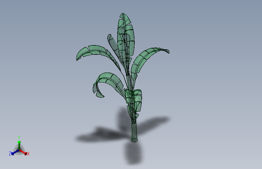 植物3