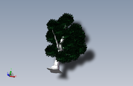 植物4