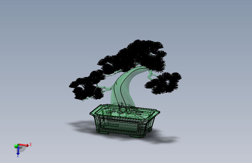 植物5-松树