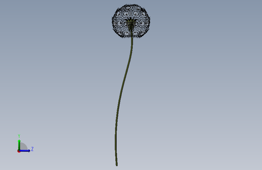 植物8-蒲公英 左侧视图