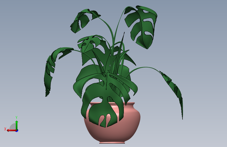 植物9