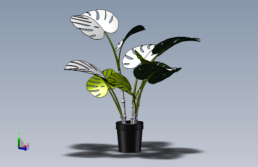 植物13