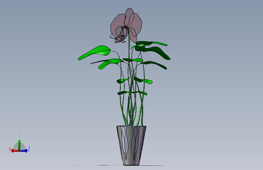 植物14
