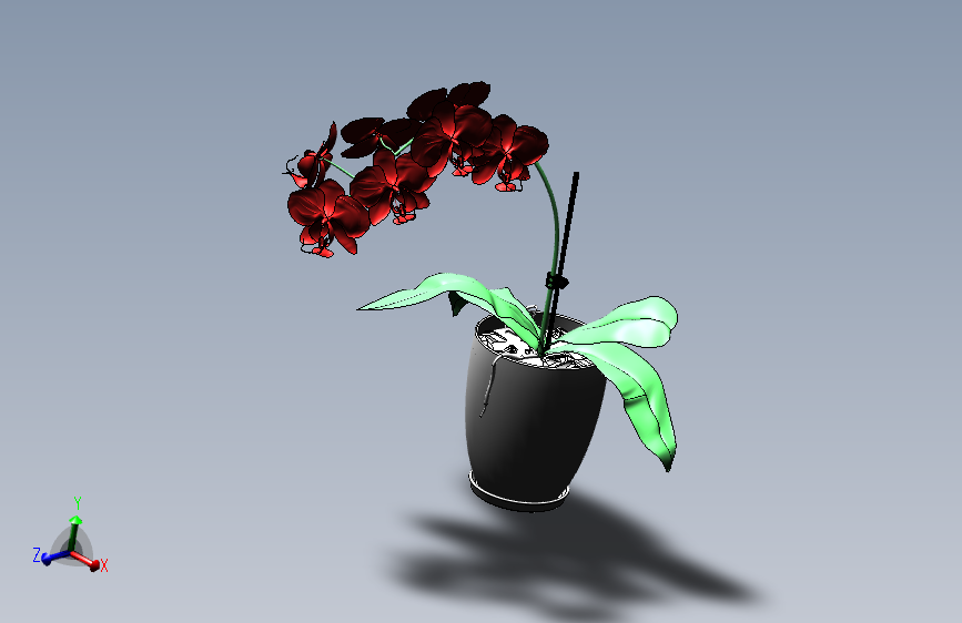 植物16