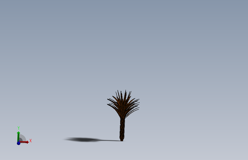 植物19