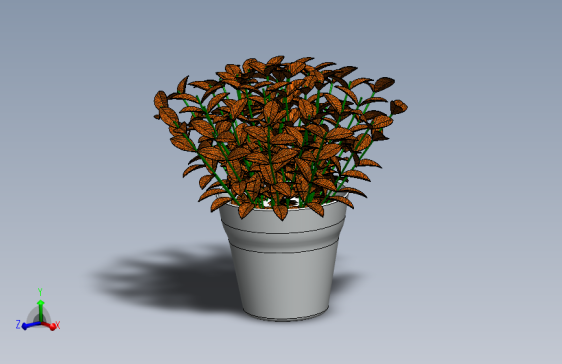 植物20