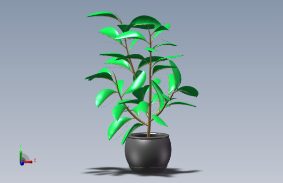 植物22