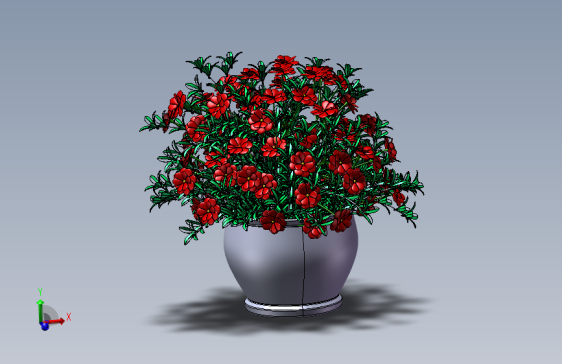 植物24