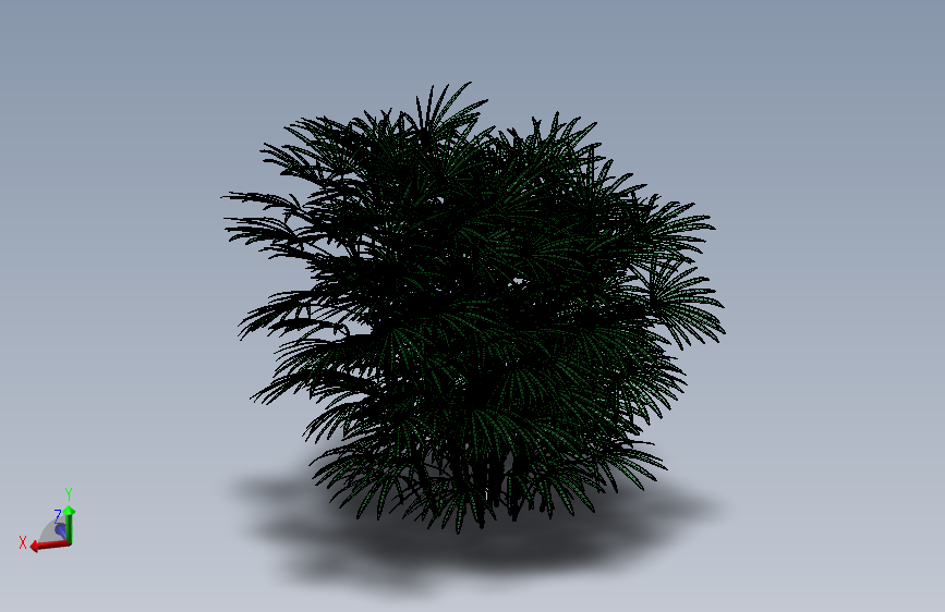 植物27