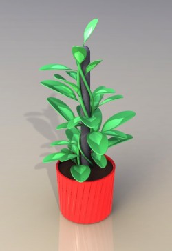 植物