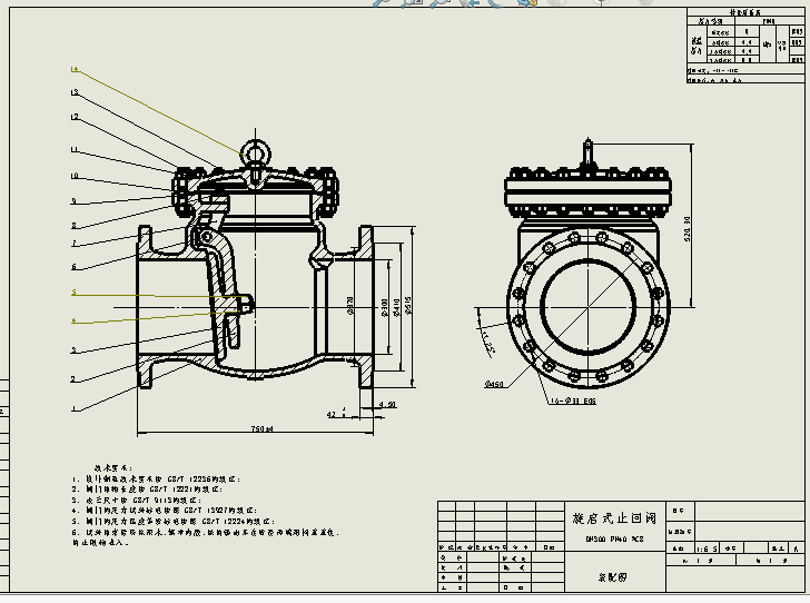 DN300 PN40旋启式止回阀