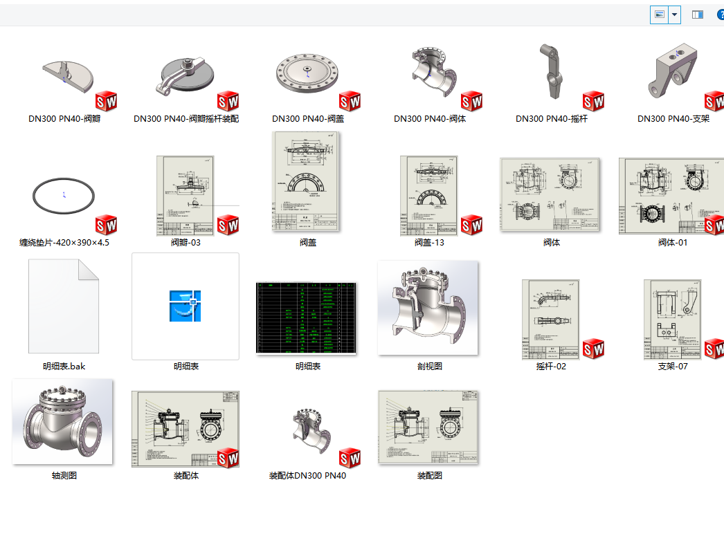 DN300 PN40旋启式止回阀