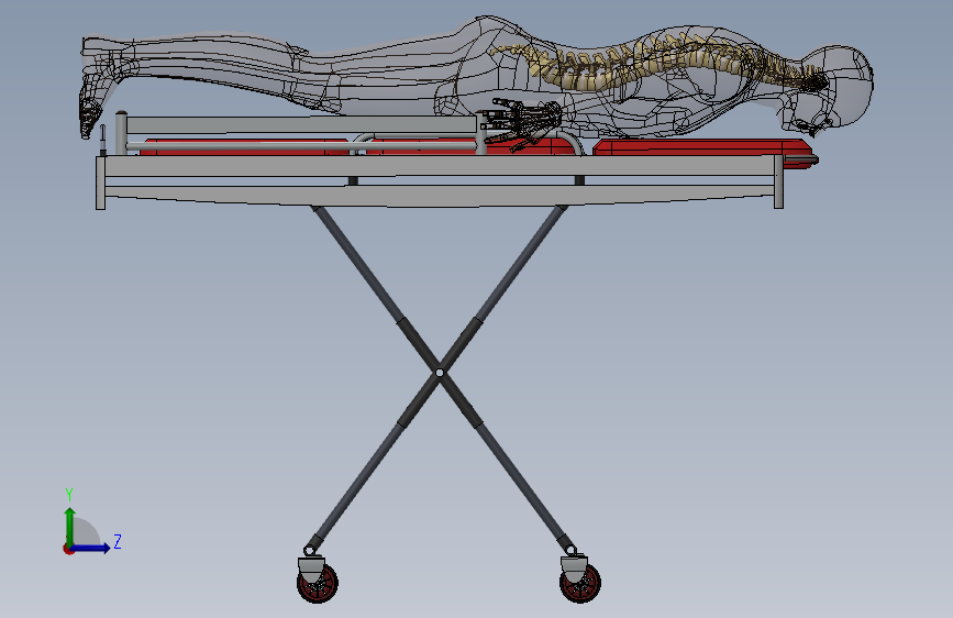 Y6729-骨骼 spine-fixator SW IGS STP STL X_T 左侧视图