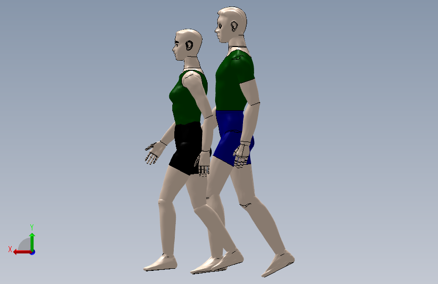 Y6807-人体模型 human-body SW STP_SOLIDWORKS 2015_模型图纸下载 – 懒石网