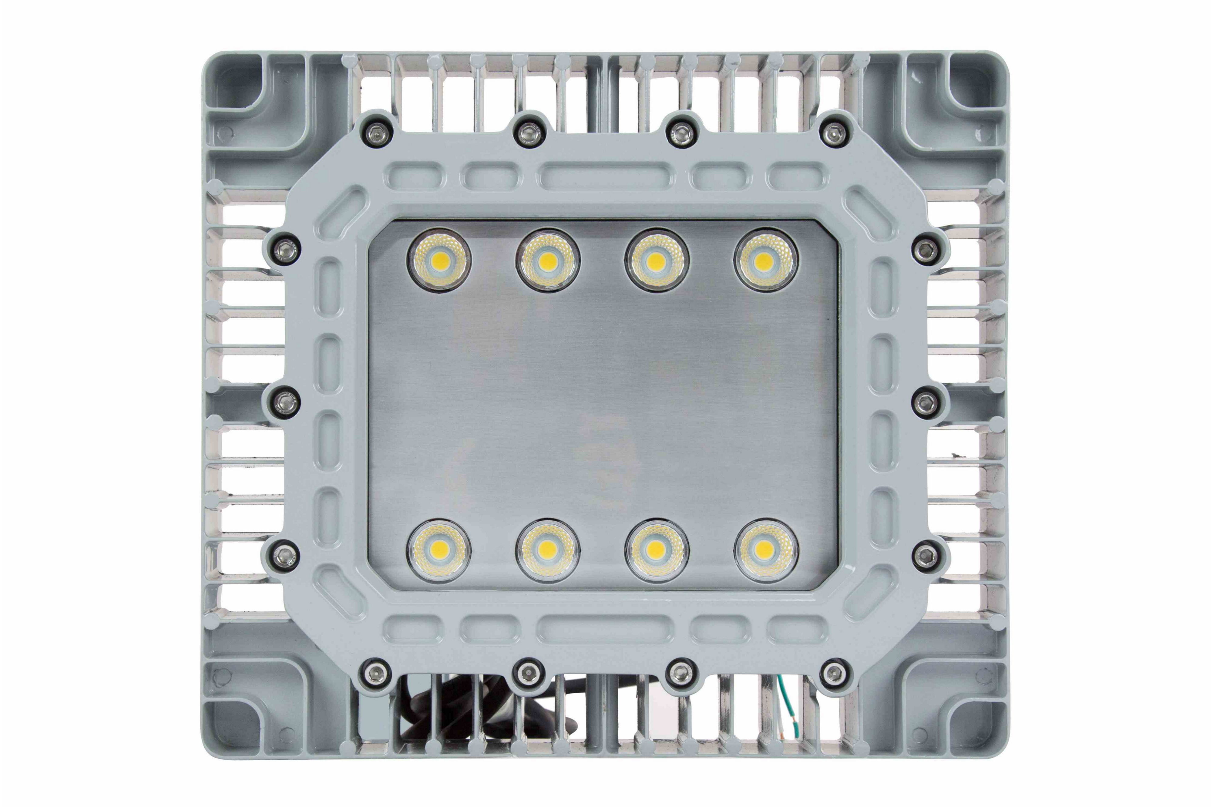 100瓦防爆LED泛光灯-表面贴装- 11,667流明- C1D2 - C2D1