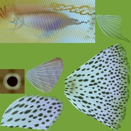 水族馆(热带)