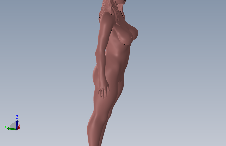 Cutien女体模型