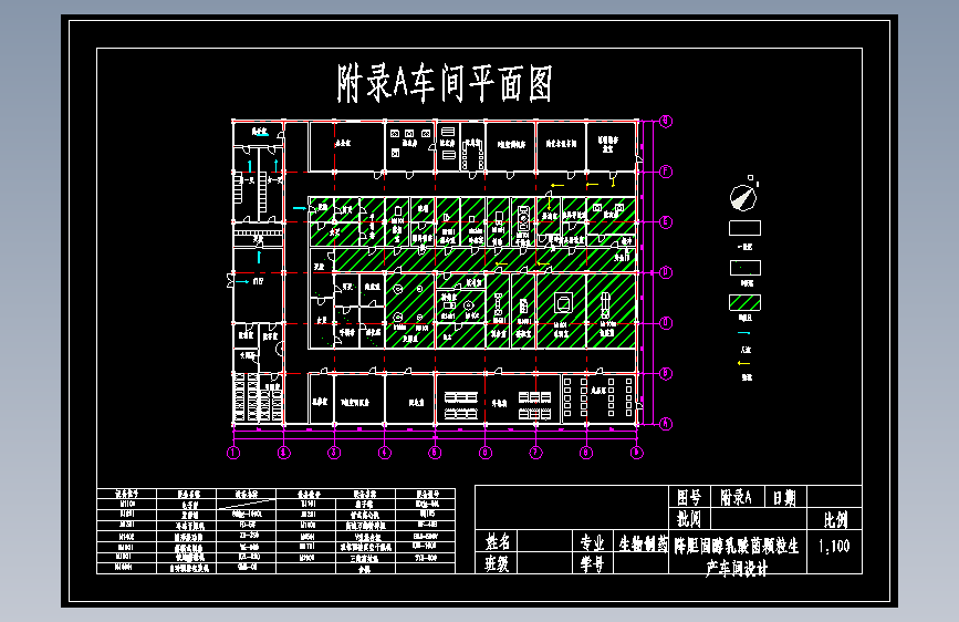 降胆固醇乳酸菌颗粒工艺流程及布局