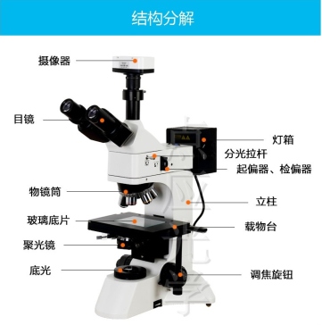 显微镜模型三维SW2016带参