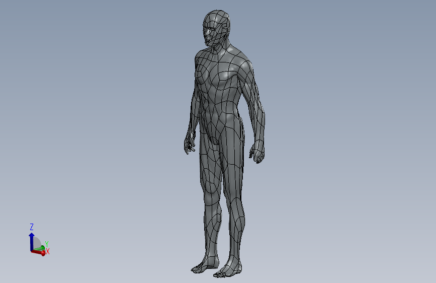 人体3D模型