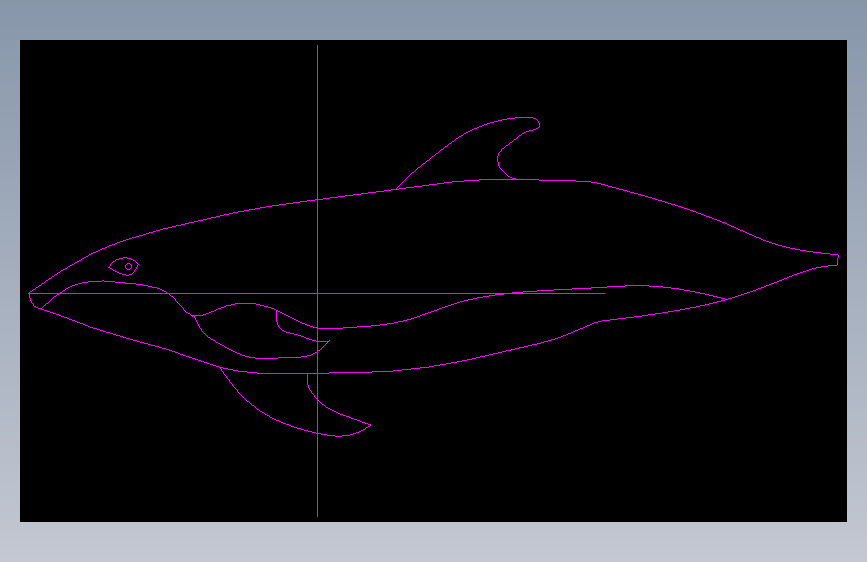 鲸鱼动物绘制模型