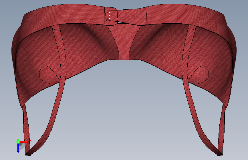 solidworks女性文胸模型 俯视图