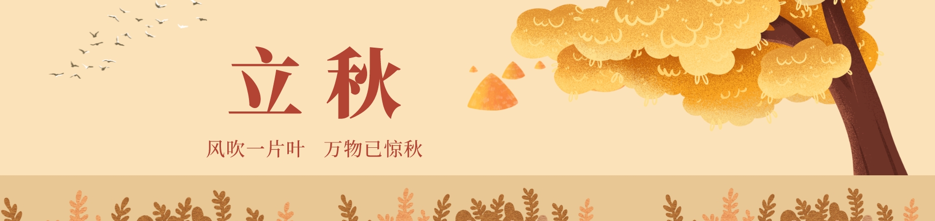 立秋1