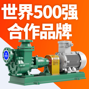FZB系列化工泵 上海阳光泵业制造有限公司