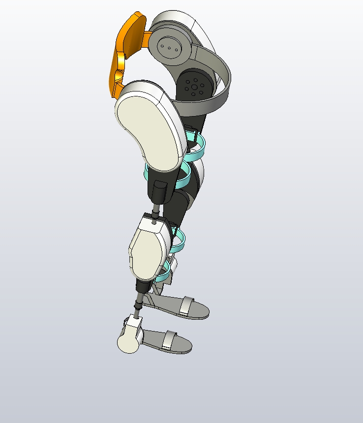 下肢康复机构图MF