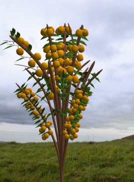 树tree