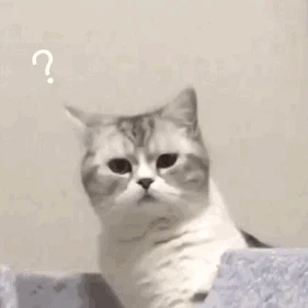 可乐炸鸡