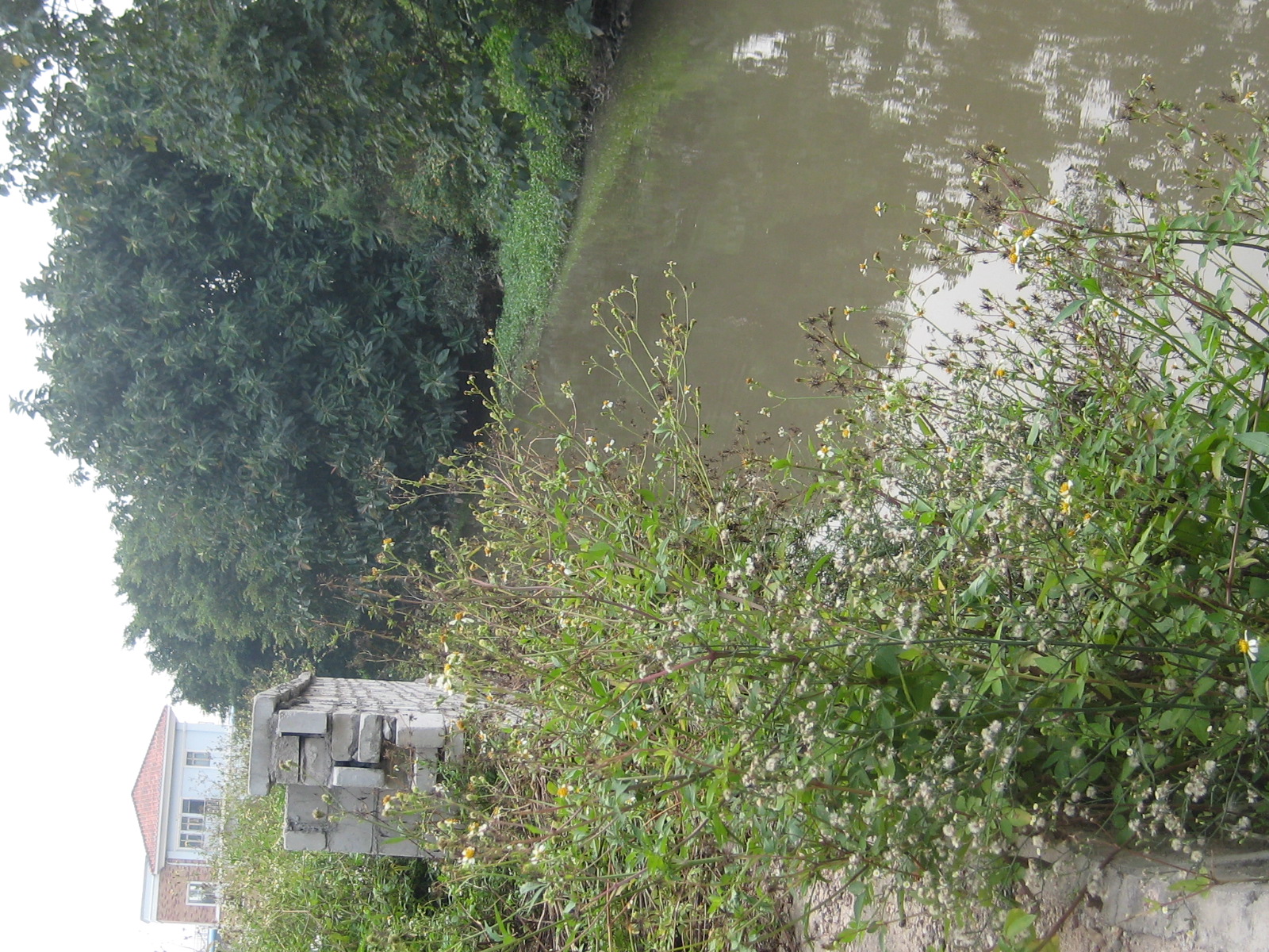 佛山南海某绿洲侧挡墙工程及涌底硬底化工程改造施工工程