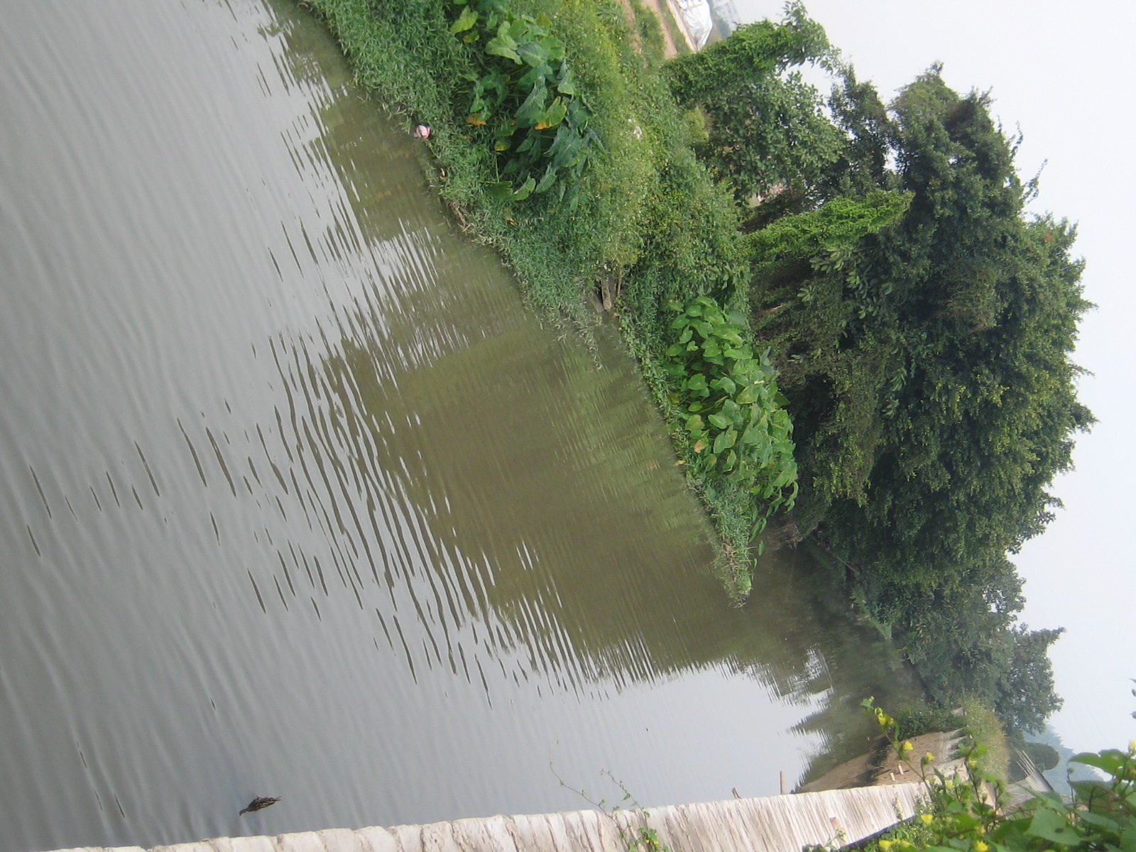 佛山南海某绿洲侧挡墙工程及涌底硬底化工程改造施工工程