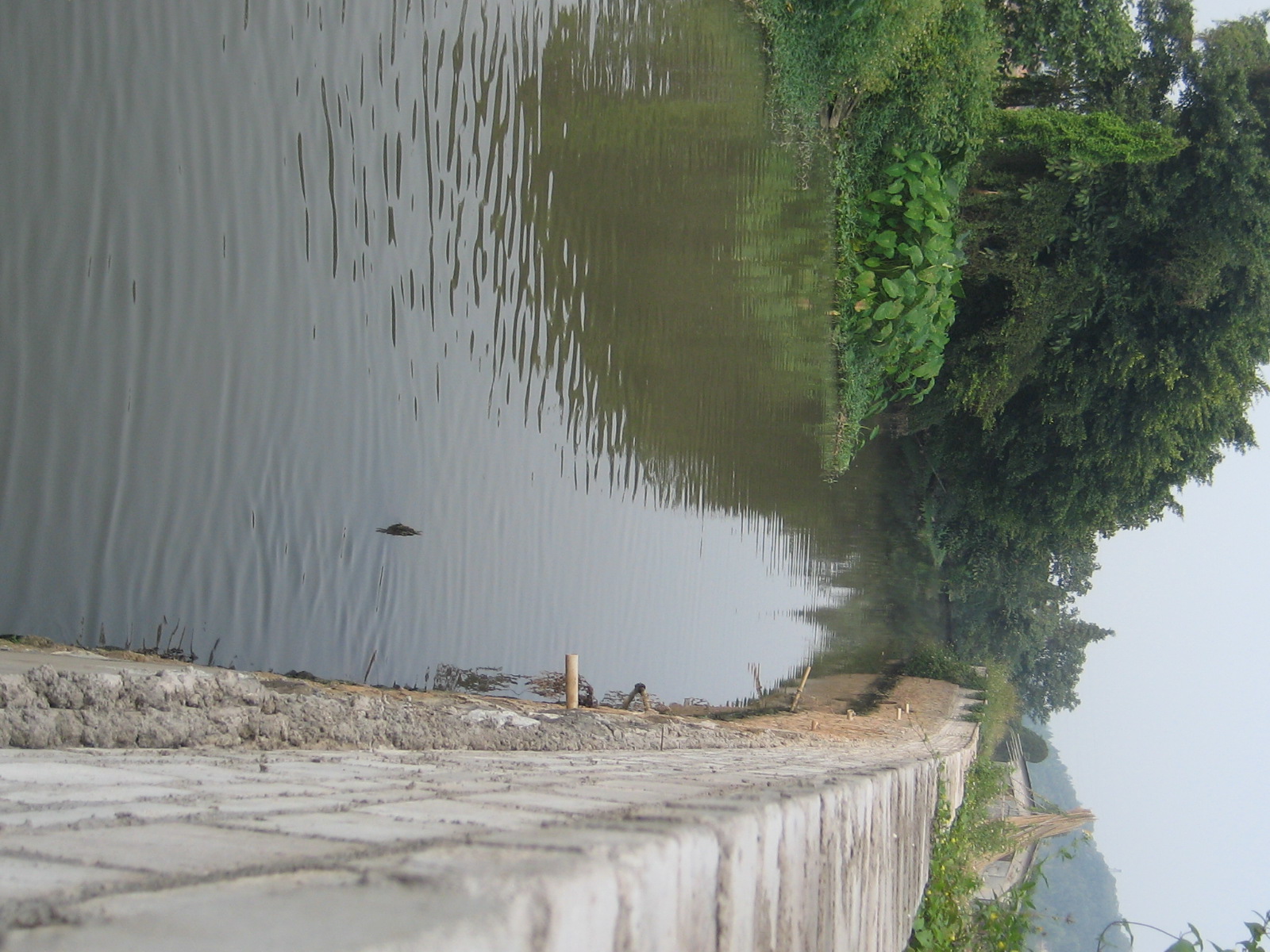 佛山南海某绿洲侧挡墙工程及涌底硬底化工程改造施工工程