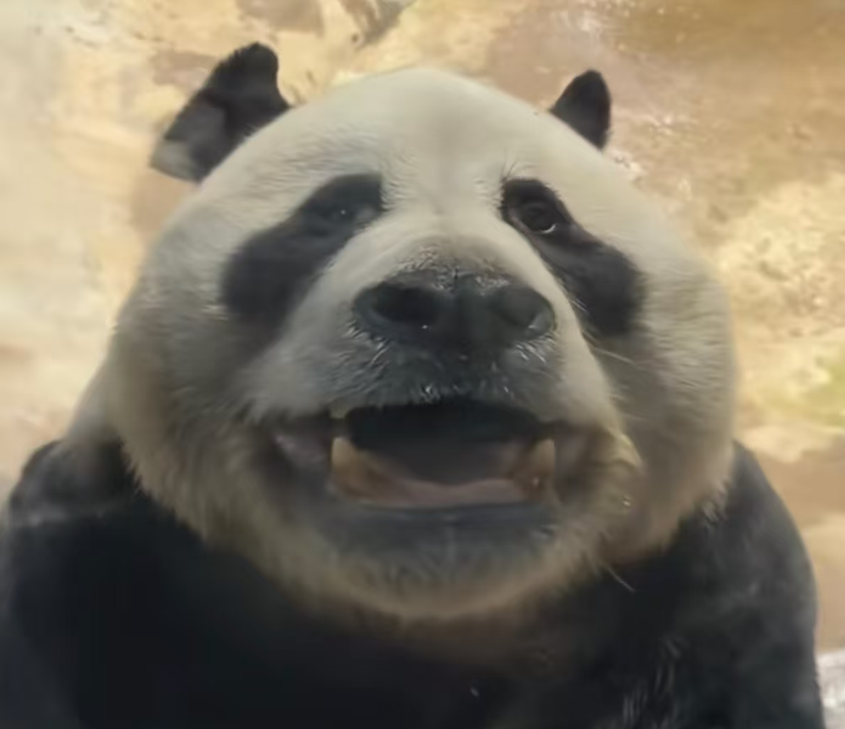 不忘初心